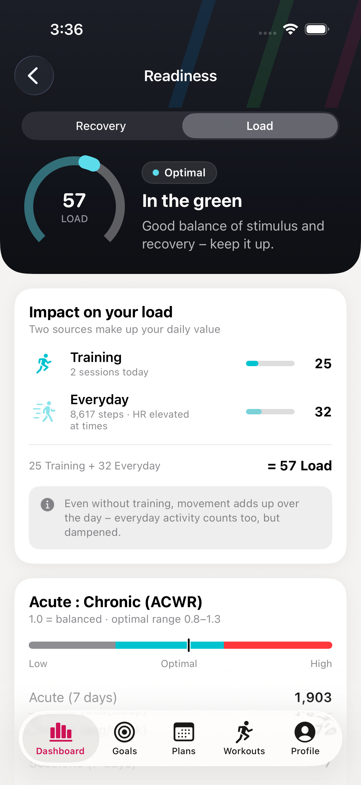 Daily-load breakdown with training and everyday share